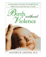 birth-without-violence-9781594772979