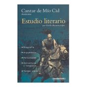 Cantar de Mío Cid (estudio literario)