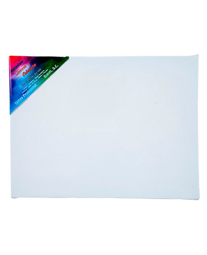 lienzo-con-bastidor-de-30-cm-x-40-cm-con-grapa-posterior-3-7707345720091