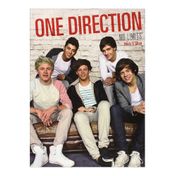 One Direction. No Limits