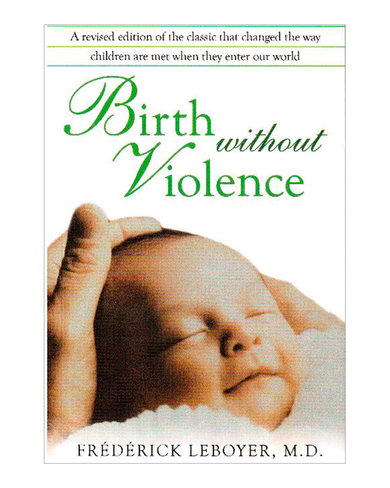 birth-without-violence-9781594772979