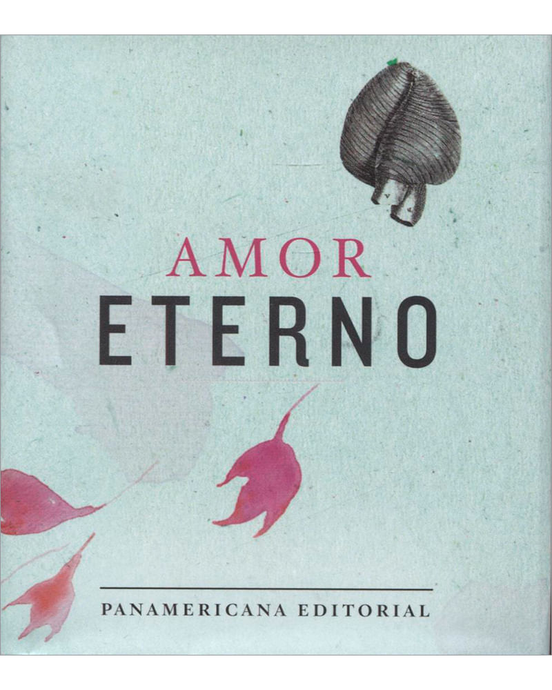amor-eterno-9789583048272