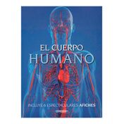 El cuerpo humano