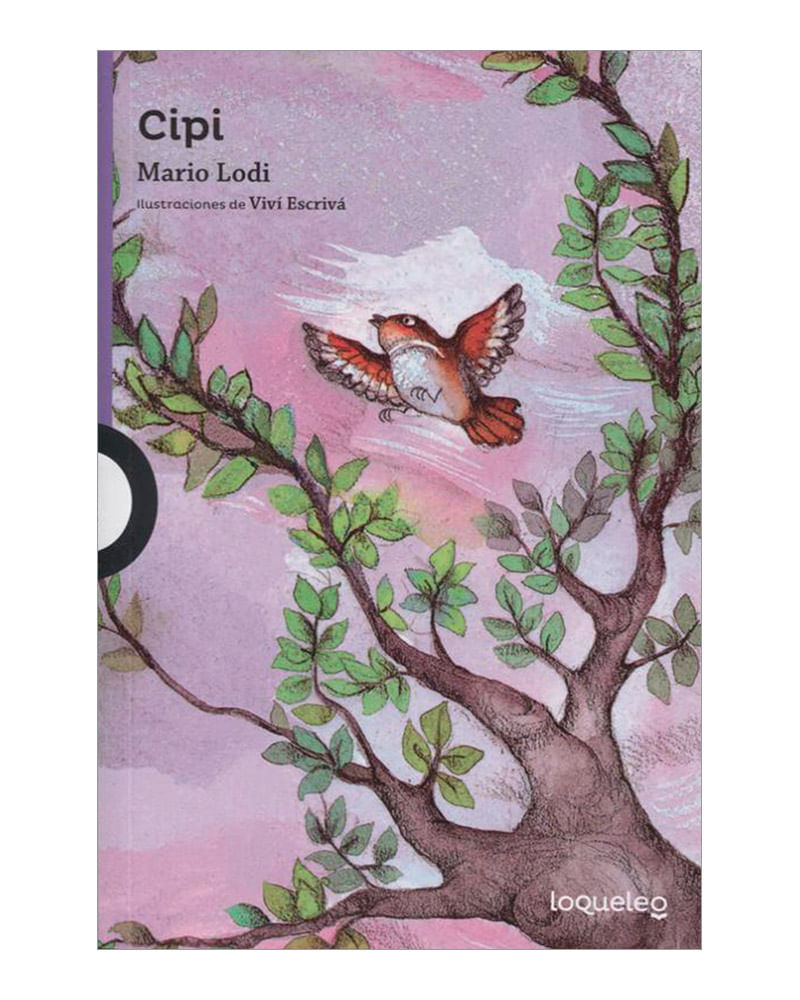 cipi-9789585937864