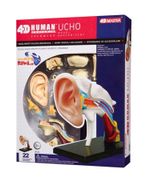 modelo-anatomico-del-oido-humano-x-22-piezas-4893409260559