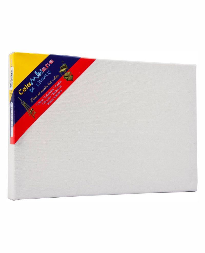 lienzo-con-bastidor-de-20-cm-x-30-cm-con-grapa-posterior-7707047200211