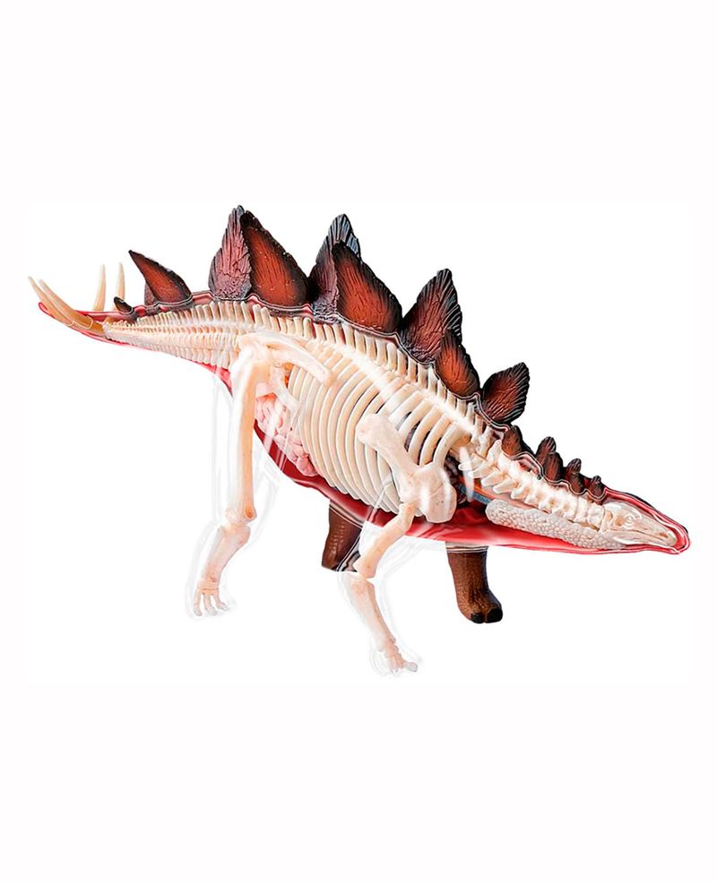 modelo-anatomico-4d-de-stegosaurus-x-39-piezas-4893409260955