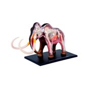 Modelo anatómico 4D del mamut, 30 piezas