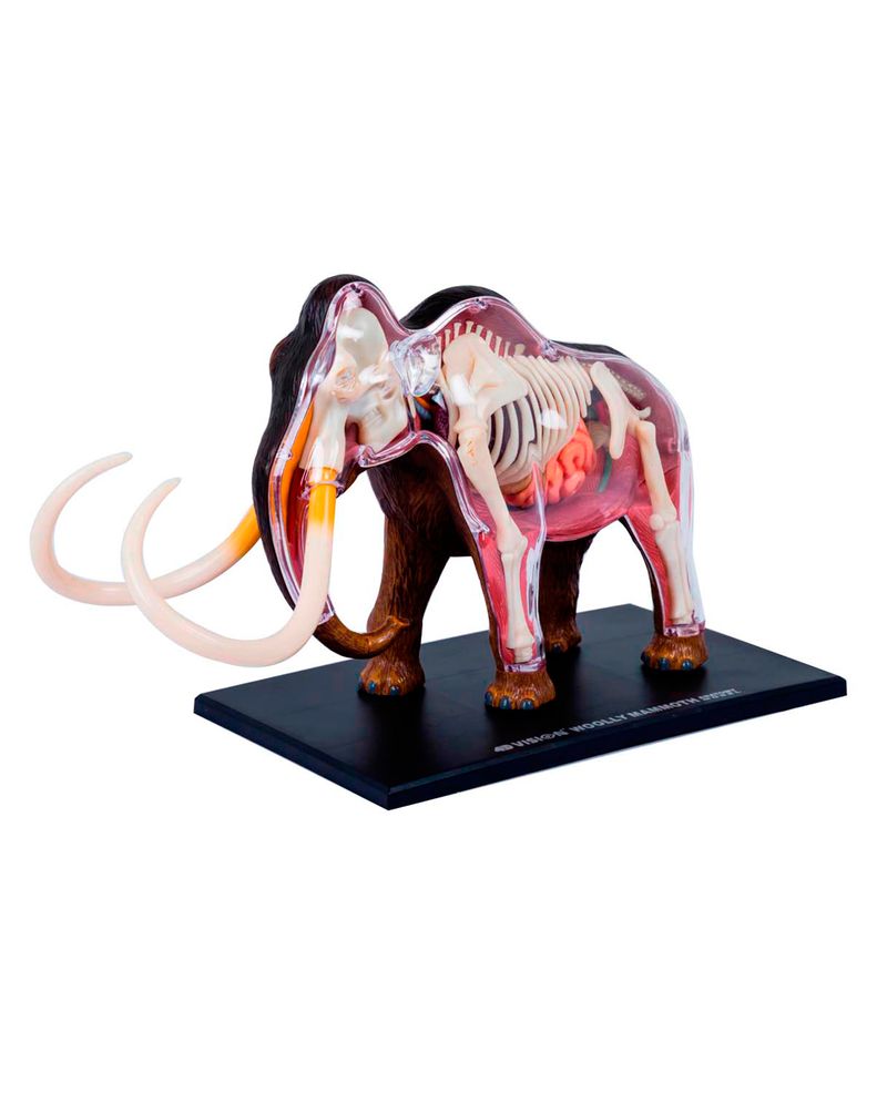 modelo-anatomico-4d-de-mamut-x-30-piezas-4893409261105