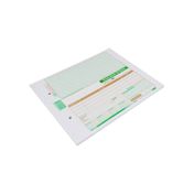 Comprobante de egreso cheque x 100 uds., Minerva 2006