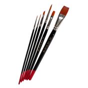 Set de 6 pinceles mixtos Lion Deluxe