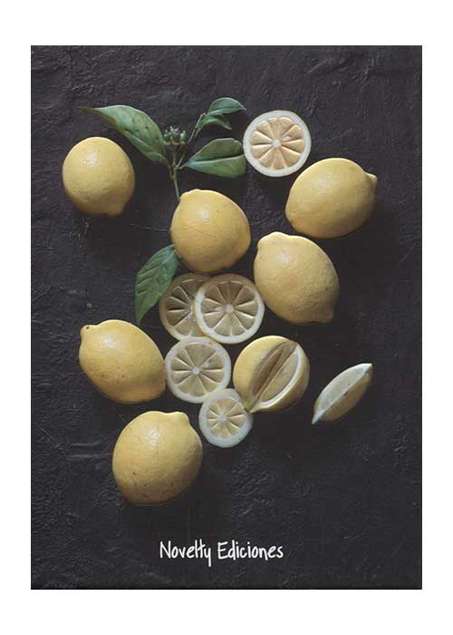 limon-9786078458608