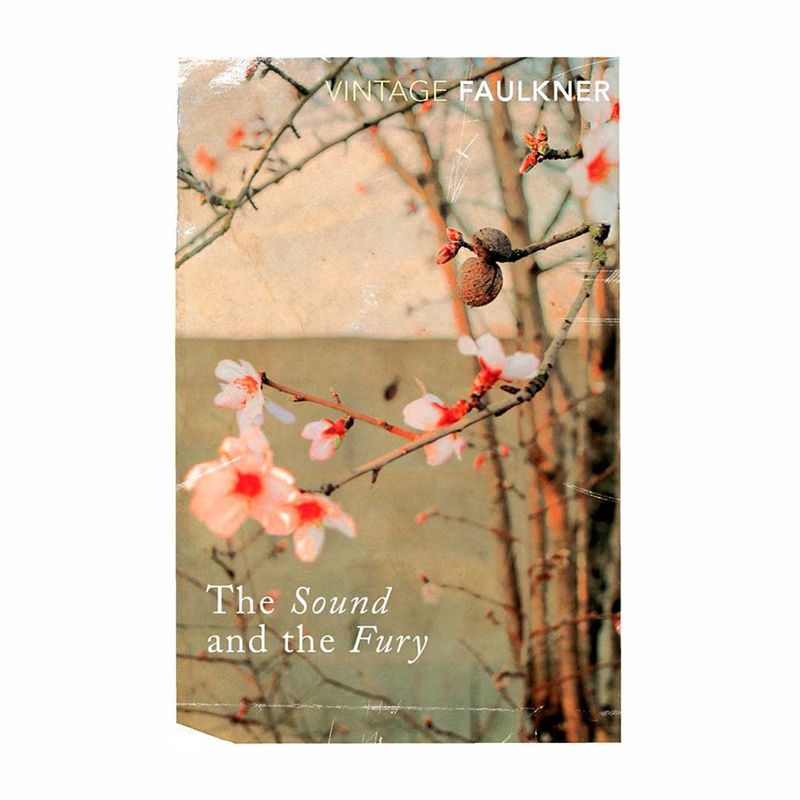 the-sound-and-the-fury-9780099475019