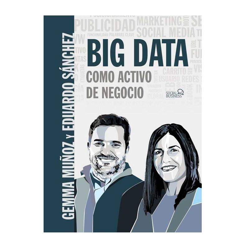 big-data-como-activo-de-negocio-9788441541498