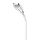 cable-blanco-lightning-a-usb-c-1-8-m-iridisente-charge-worx-2-643620009109