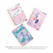 Cuaderno 105, 80 hojas, cuadriculado, argollado, incolors, tapa dura