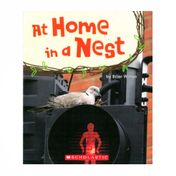 At Home in a Nest