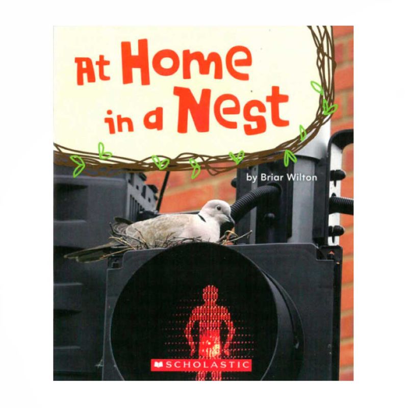 at-home-in-a-nest-9780545666633