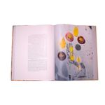 hans-christian-andersen-cuentos-4-9789583060243