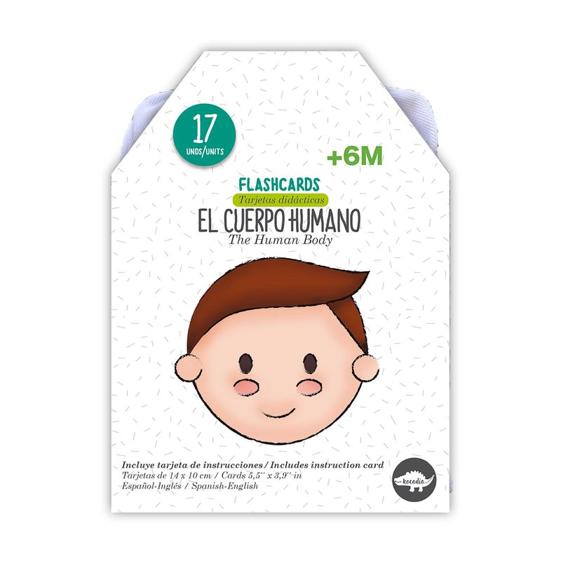 flash-cards-partes-del-cuerpo-9789585568068