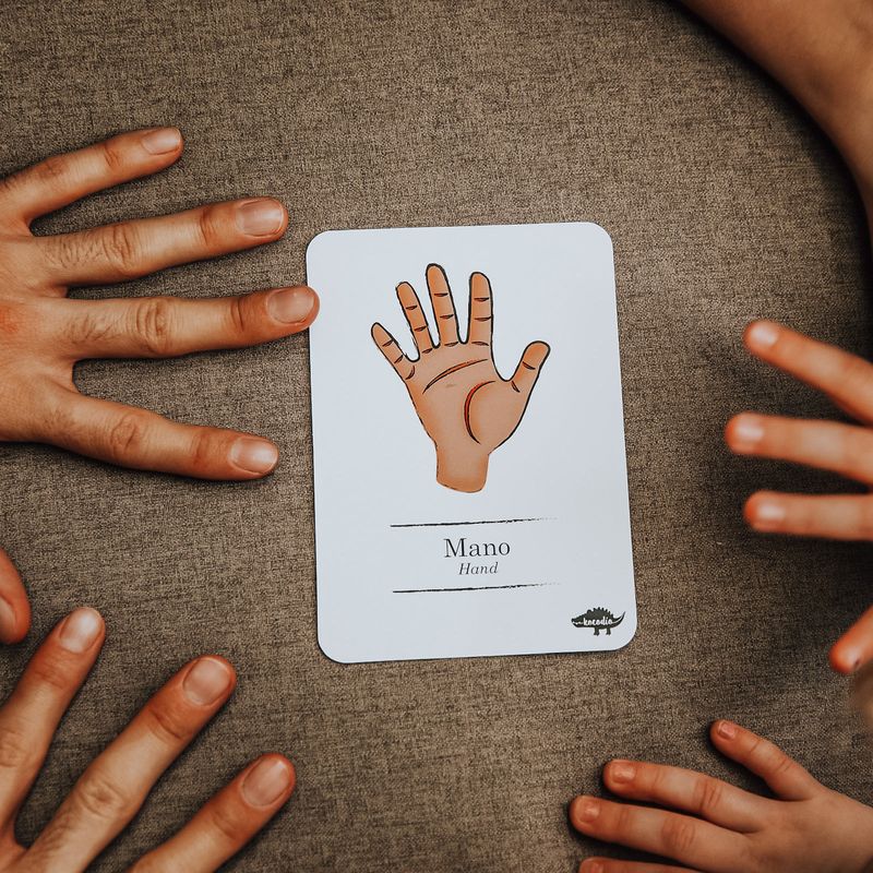 flash-cards-partes-del-cuerpo-1-9789585568068