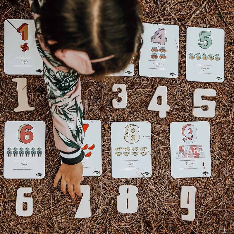 flash-cards-numeros-2-9789585568150