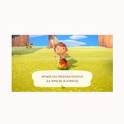 Juego Animal Crossing New Horizons, Nintendo Switch