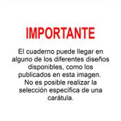 Cuaderno cuadriculado, 100 hojas, cosido, Scribe In Black (surtido, precio por unidad)
