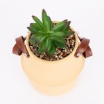 planta-artifificial-en-maceta-beige-grabada-con-manija-cafe-de-26-cm-1-7701016952590