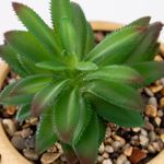 planta-artifificial-en-maceta-beige-grabada-con-manija-cafe-de-26-cm-2-7701016952590