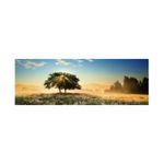 rompecabezas-1000-piezas-play-of-light-4001689299019