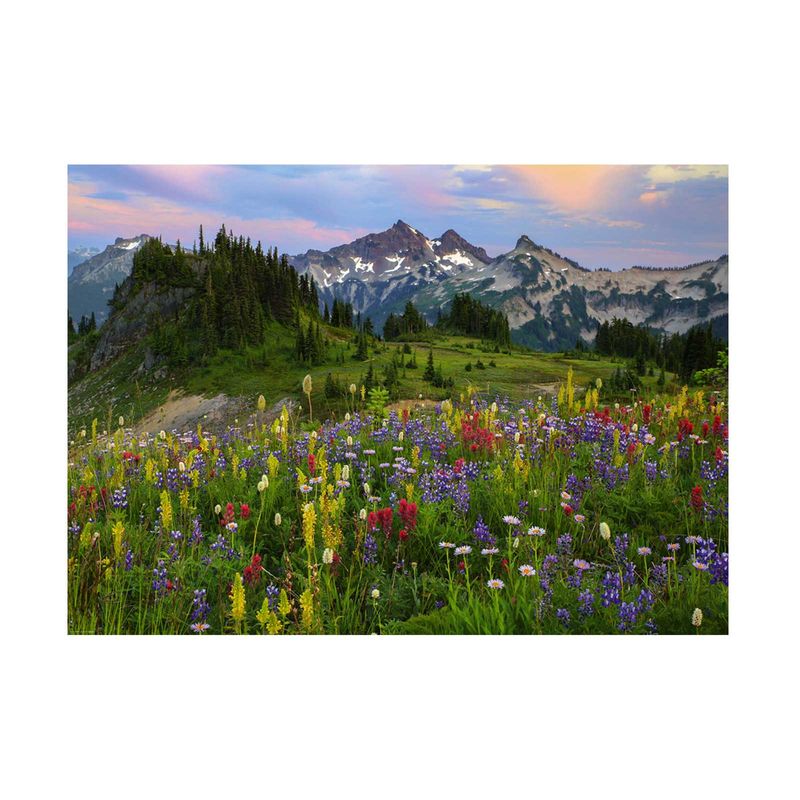 rompecabezas-2000-piezas-tatoosh-mountains-4001689299033