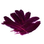 plumas-x-12-unidades-color-fucsia-negra-7701016847575