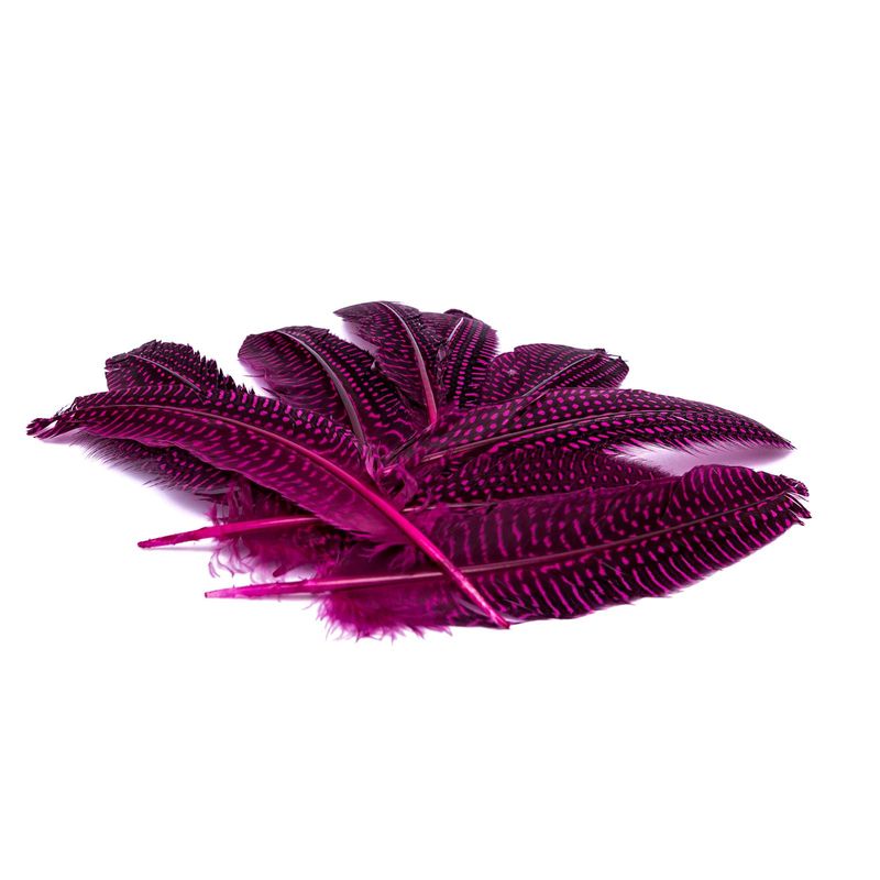 plumas-x-12-unidades-color-fucsia-negra-1-7701016847575