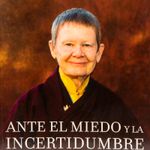 ante-el-miedo-y-la-incertidumbre-108-ensenanzas-practicas-para-desarrolar-la-compasion-y-la-lucidez-1-9788484458159