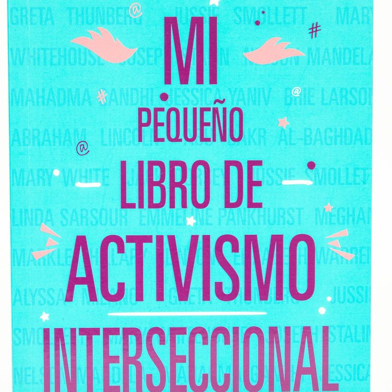 mi-pequeno-libro-de-activismo-interseccional-2-9788413623931
