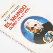 El mundo como yo lo veo