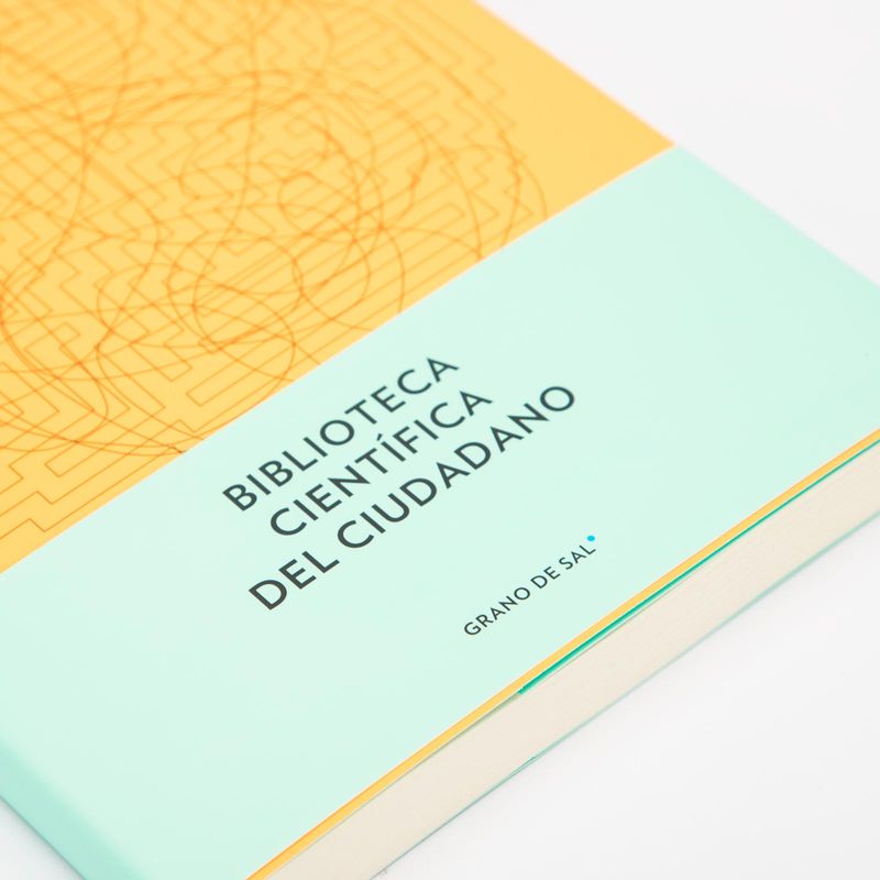el-arte-de-la-logica-en-un-mundo-logico-9786079870577