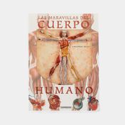 Las maravillas del cuerpo humano
