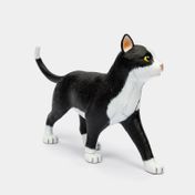 Modelo anatómico 4D del gato, 28 piezas