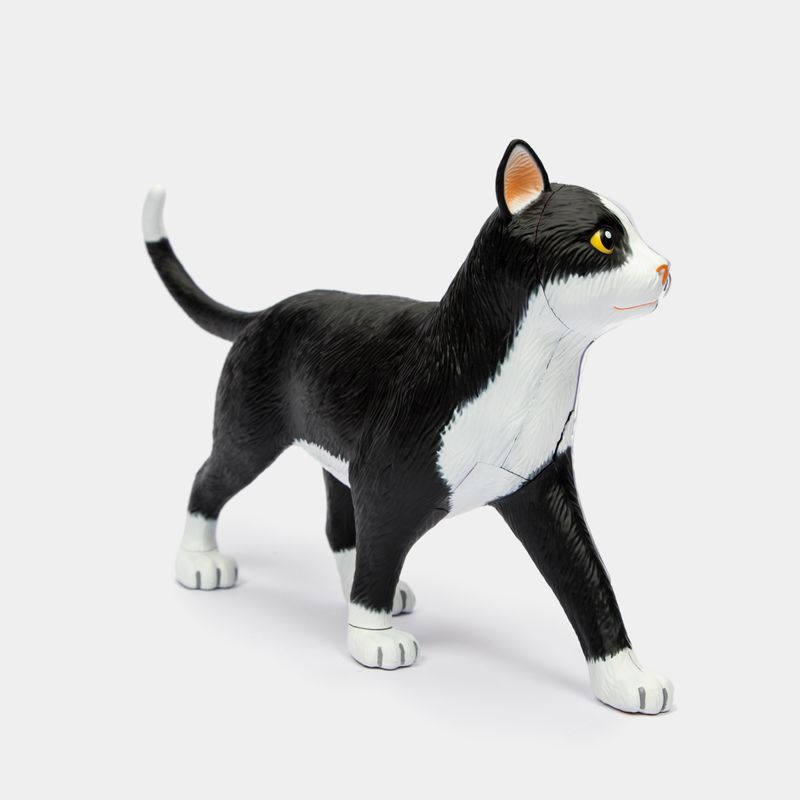 modelo-anatomico-4d-del-gato-28-piezas-4894793220044