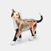 Modelo anatómico 4D del gato, 28 piezas