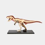 Modelo anatómico 4D T-Rex x 36 piezas