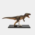 modelo-anatomico-4d-t-rex-x-36-piezas-2-4894793220136