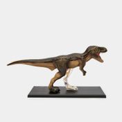 Modelo anatómico 4D T-Rex x 36 piezas