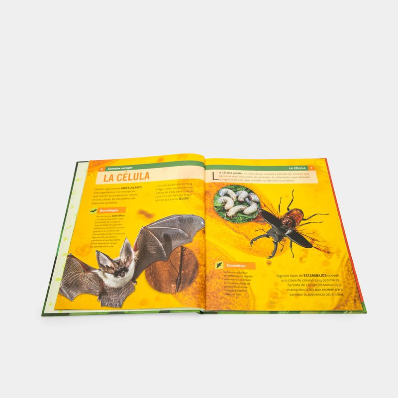animales-salvajes-5-9789583062971