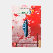 Linda 67: historia de un crimen