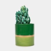 Planta artificial de 17 cm con maceta bicolor - suculenta jade