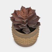 Planta artificial de 14 cm con maceta - carnosa morada