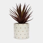 planta-artificial-de-19-cm-espada-roja-con-maceta-blanca-y-puntos-dorados-7701016225861
